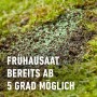 Nahaufnahme von Compo Rasen Nachsaat auf Erde, geeignet für frühe Aussaat ab 5 Grad.