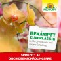Neudorff Spruzit AF Orchideen Schädlingsfrei: Spray zur Schädlingsbekämpfung an Orchideen.