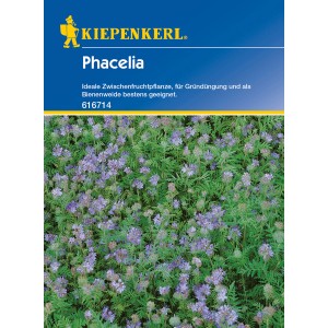 Kiepenkerl Gründünger Phacelia Beehappy, Blumensamen mit lila Blüten.