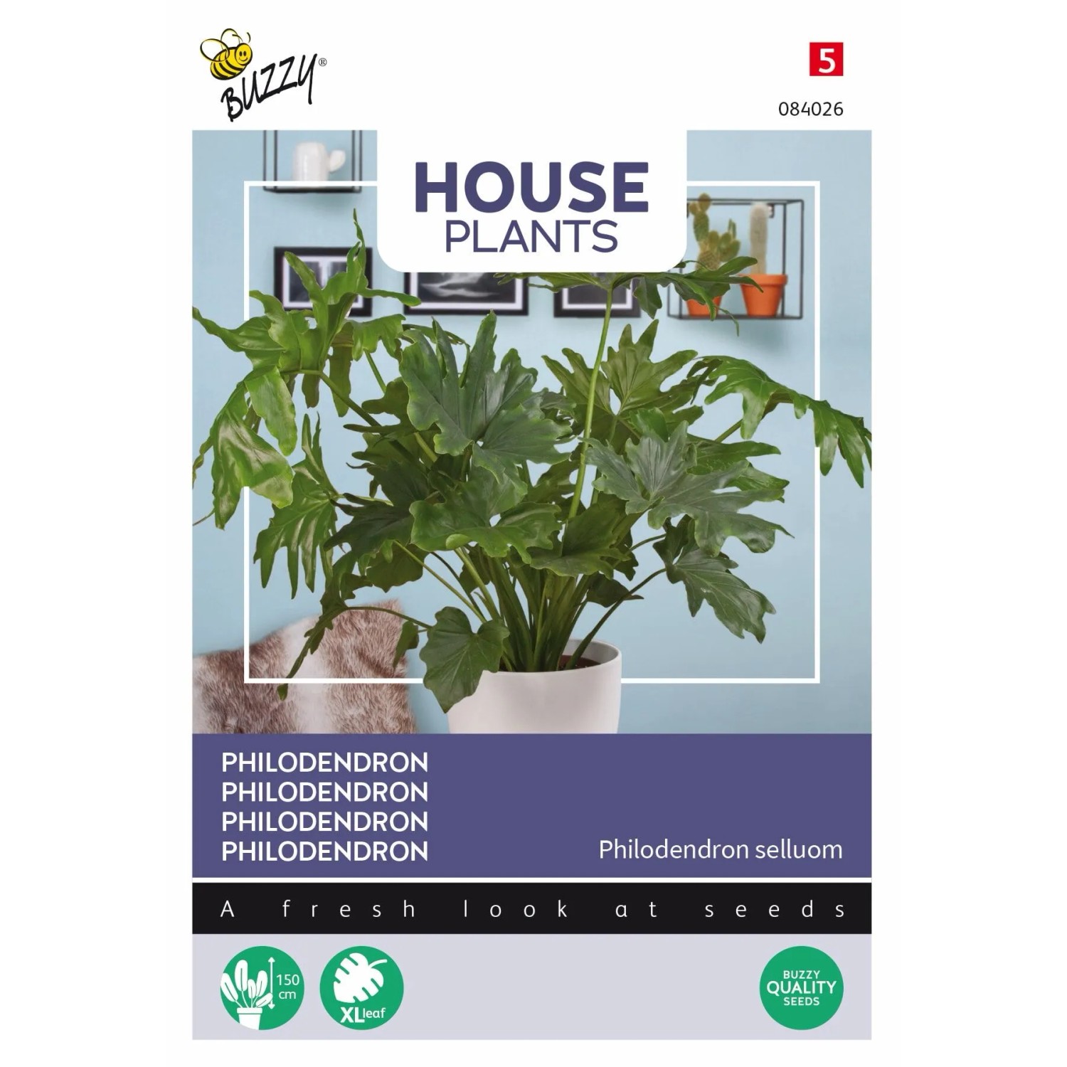 Philodendron selloum Buzzy House Plants Samen Ca. 20 Samen Für Innenbereich