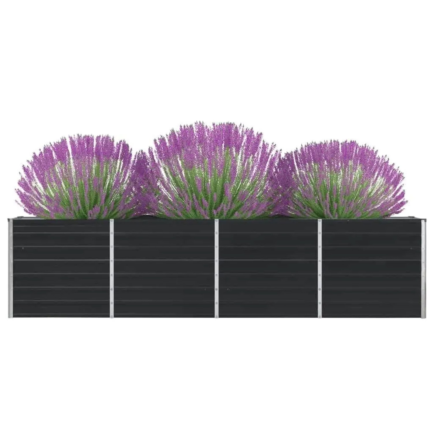 Anthrazitfarbenes Metall-Hochbeet (320 cm) mit Bepflanzung für Garten oder Balkon.