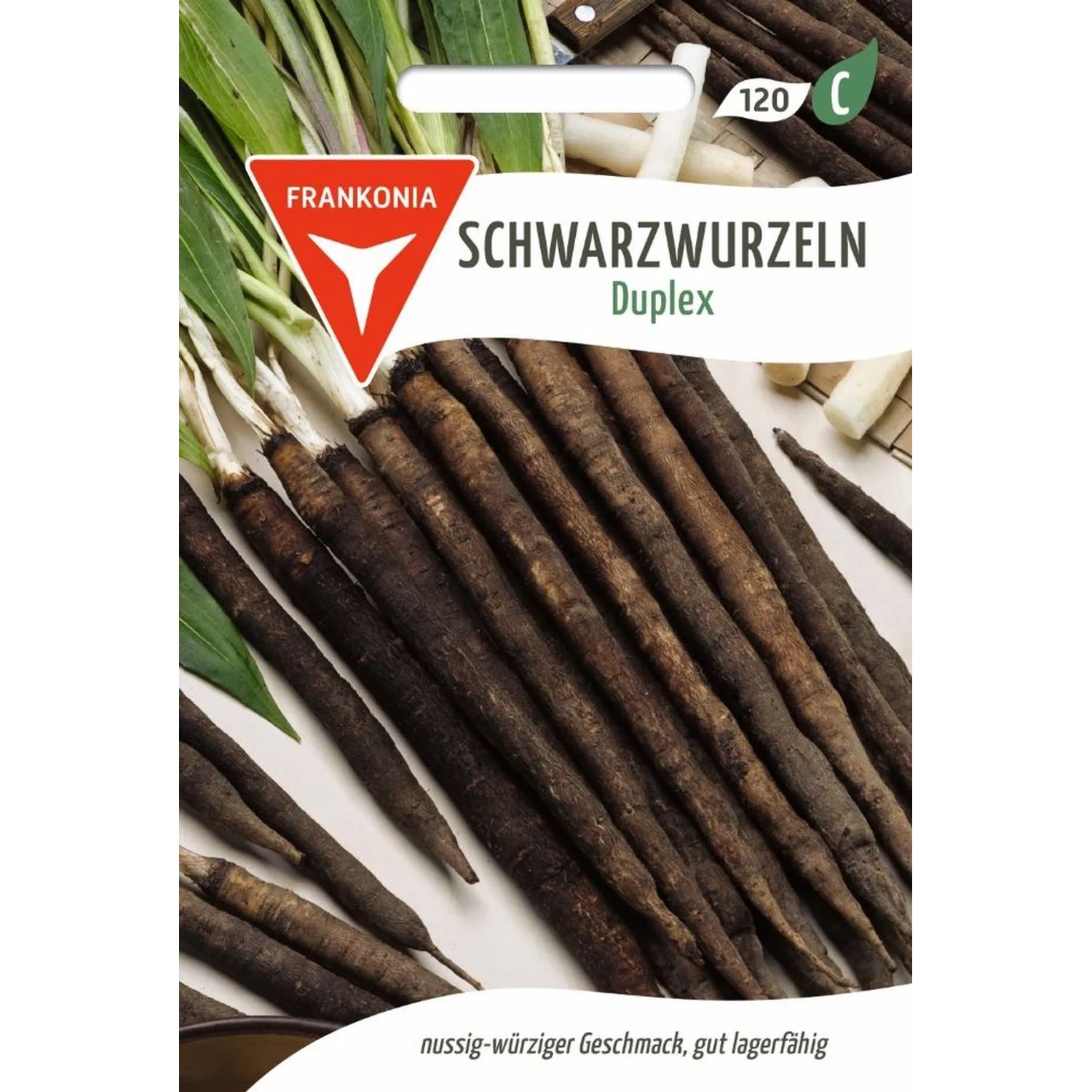 FRANKONIA Schwarzwurzeln Duplex