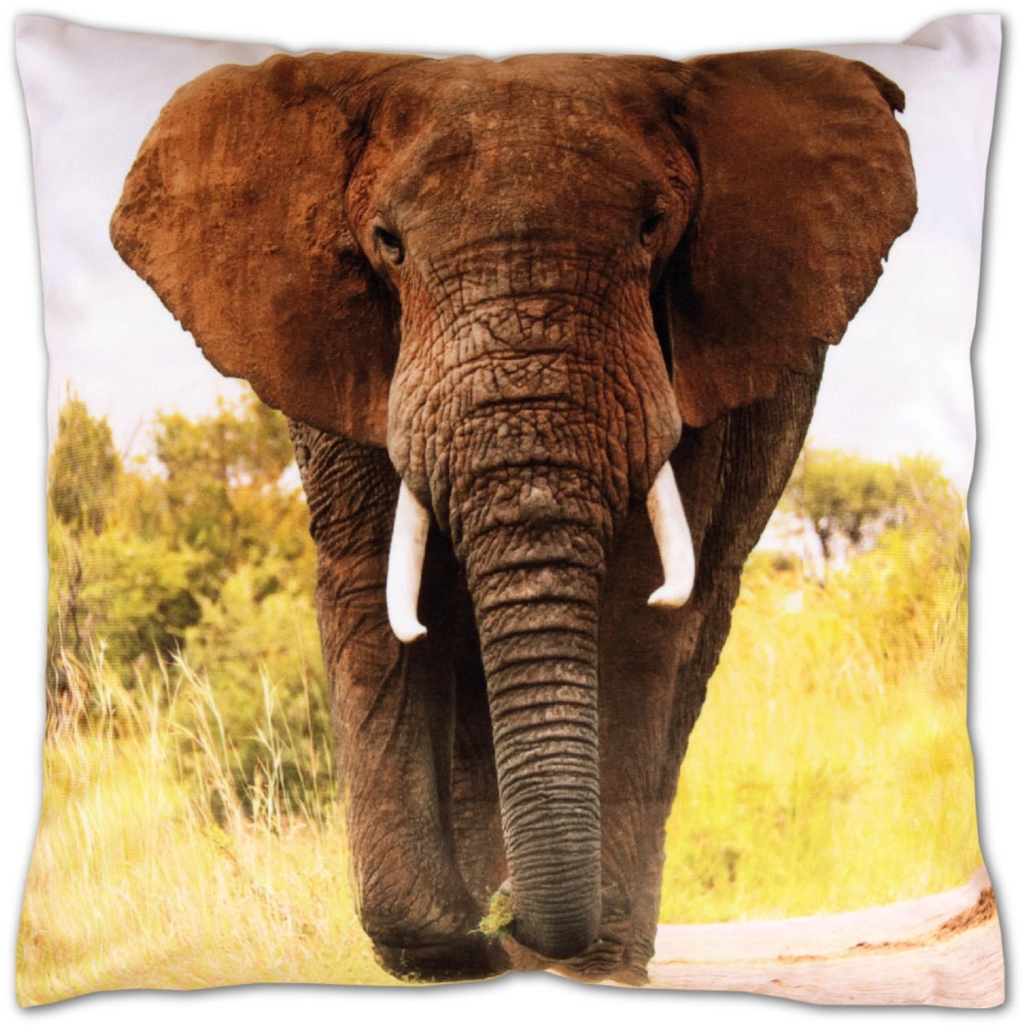 Bestlivings Kissenhülle Fotodruck Elefant 40 x 40 cm mit Füllung günstig online kaufen