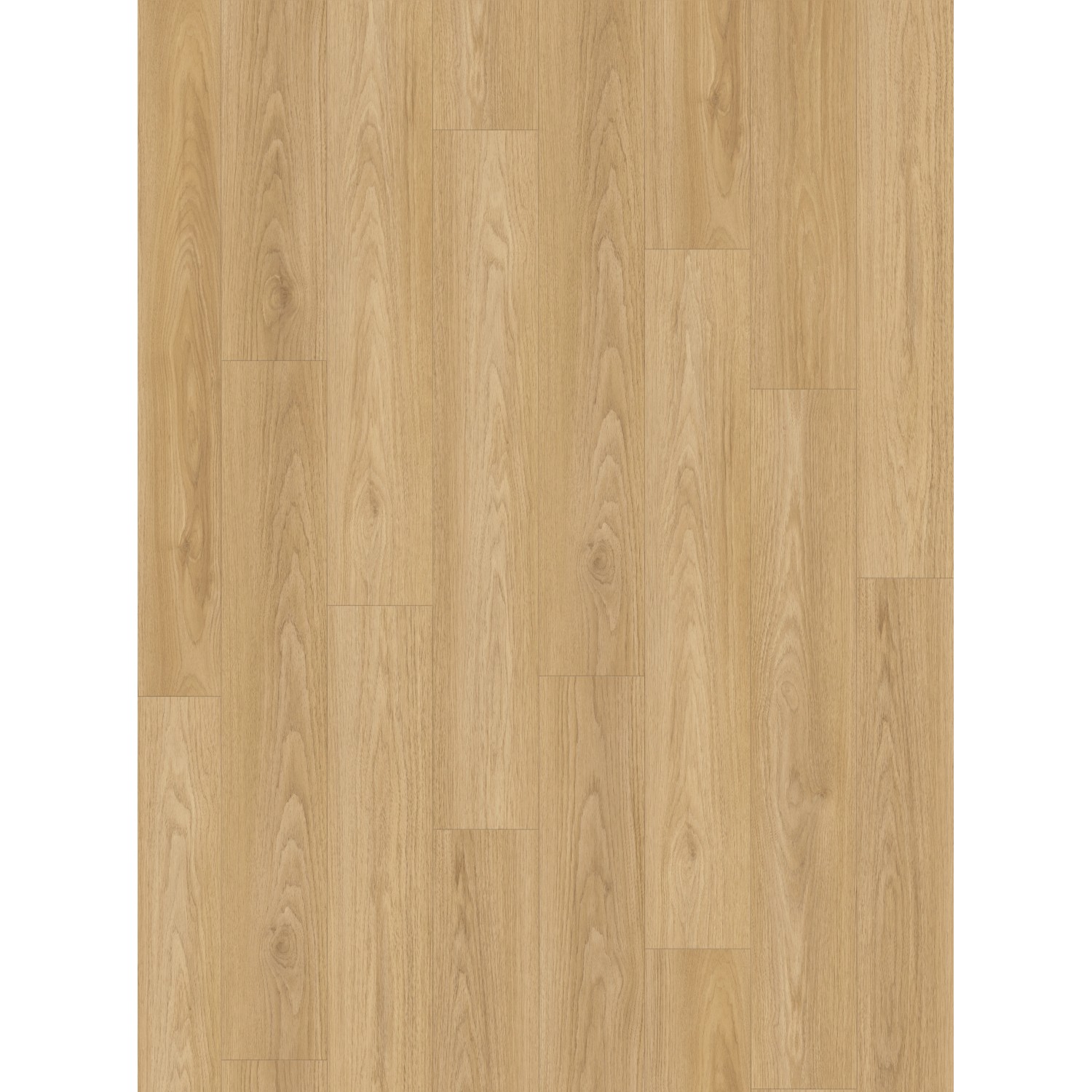 Parador Laminatboden Basic 400 Hickory Struktur LHD Seidenmatte