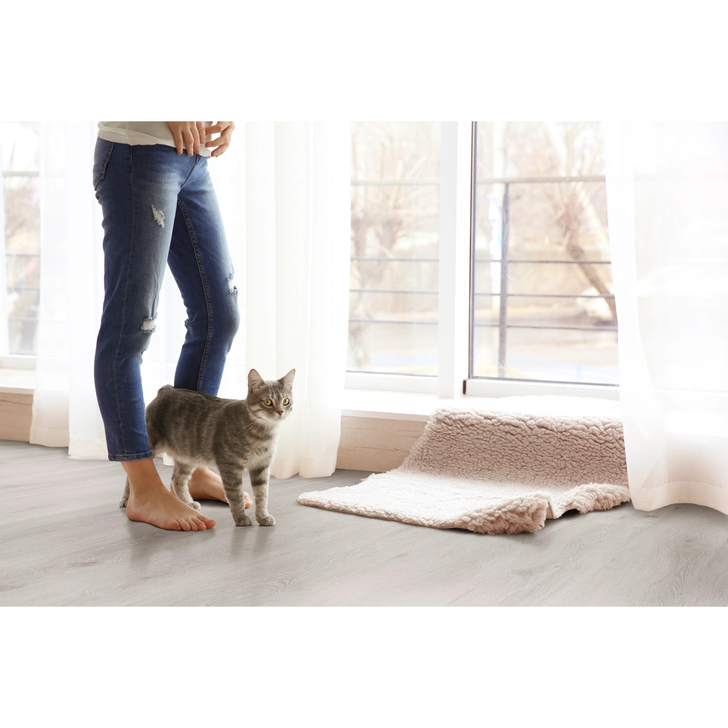 Heller Click-Vinylboden in Eichenoptik mit Katze und Person im Raum.