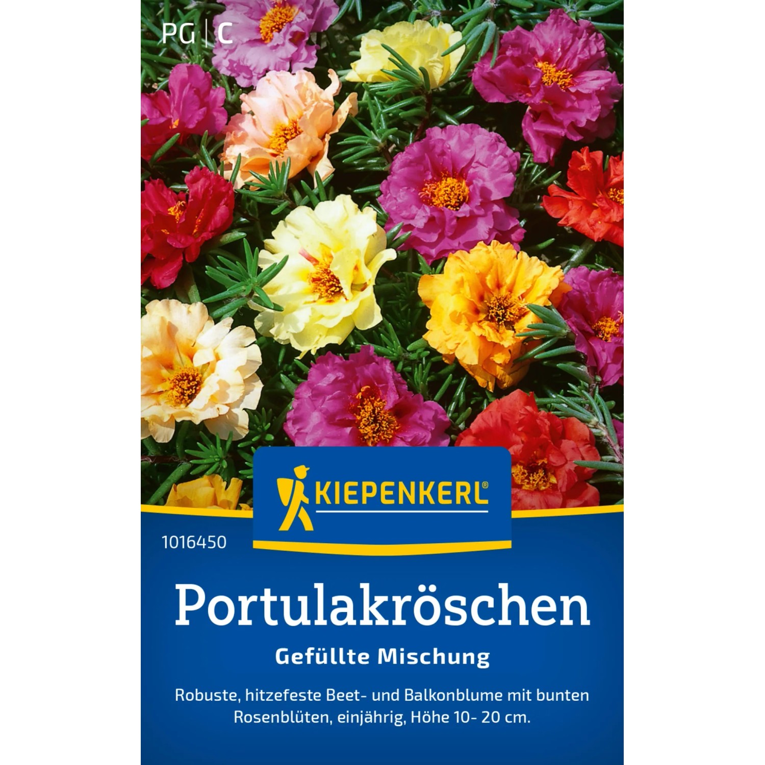 Kiepenkerl Portulakröschen 'Gefüllte Mischung' Blumensamen mit bunten, gefüllten Blüten.