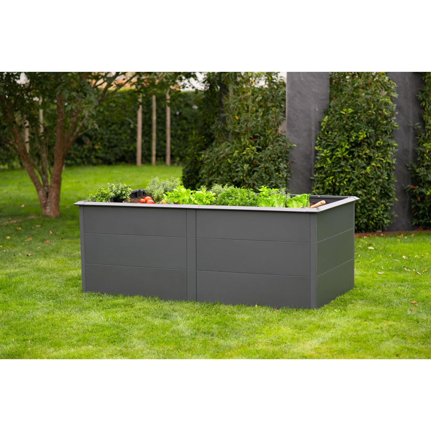 Anthrazitfarbenes Westmann Hochbeet Primus aus Metall mit Schneckenschutz, 200x100 cm, bepflanzt.