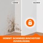 Tonis SCHIMMELSCHOCK Anti-Schimmel-Farbe: Vorher schimmelige Wand, nachher saubere weiße Wand. Effektive Schimmelbekämpfung.