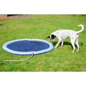 Blauer Hunde-Pool mit Wasserfontänen, Hund steht daneben auf einer Wiese.