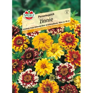 Sperli Zinnien Perserteppich, orange und rote Zinnien-Blüten im Beet.