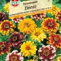 Sperli Zinnien Perserteppich, orange und rote Zinnien-Blüten im Beet.