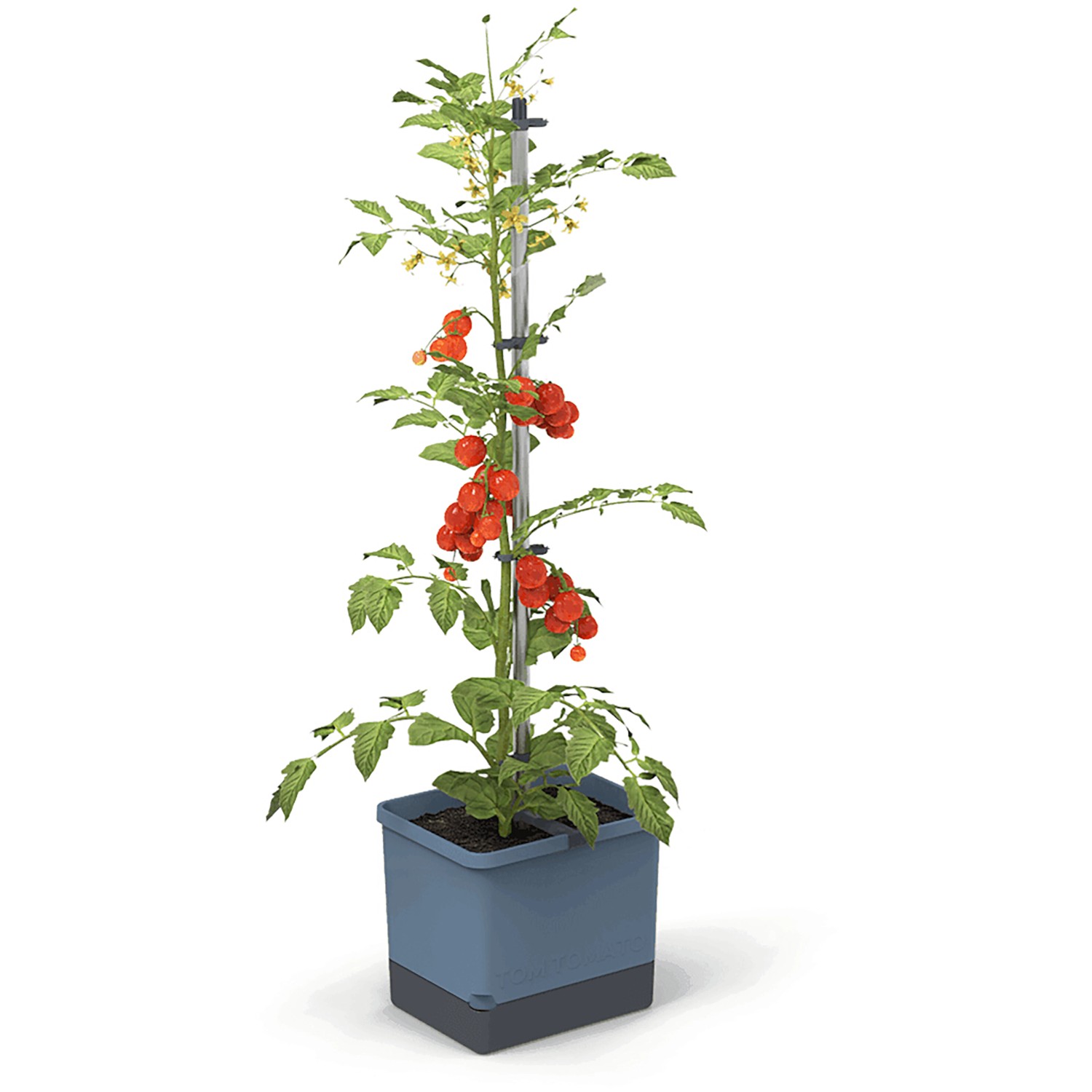 Gusta Garden Anzuchtgefäß Tom Tomato 20 L blau günstig online kaufen