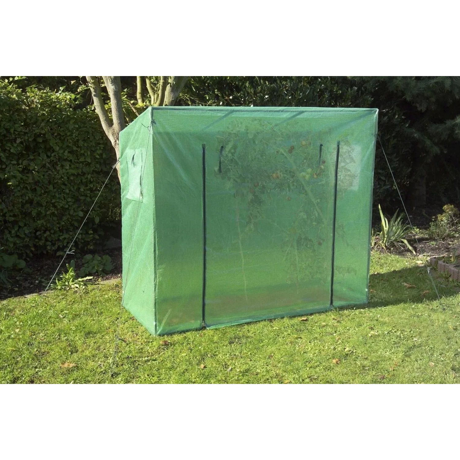 Westfalia Tomaten-GewÄChshaus GroSS 200 X 77 X 170 cm Kunststoff_8