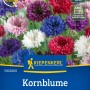 Kiepenkerl Kornblume Midget Mischung: Farbenfrohe Blüten in verschiedenen Farben.