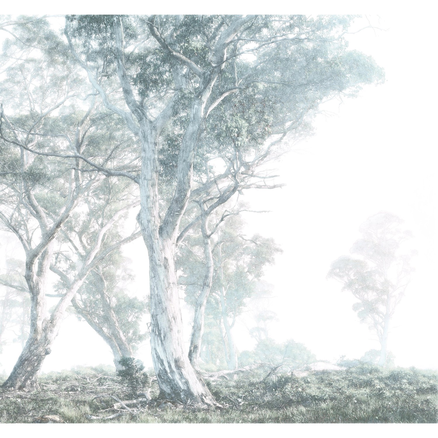 Komar Fototapete Vlies Magic Trees  300 x 280 cm