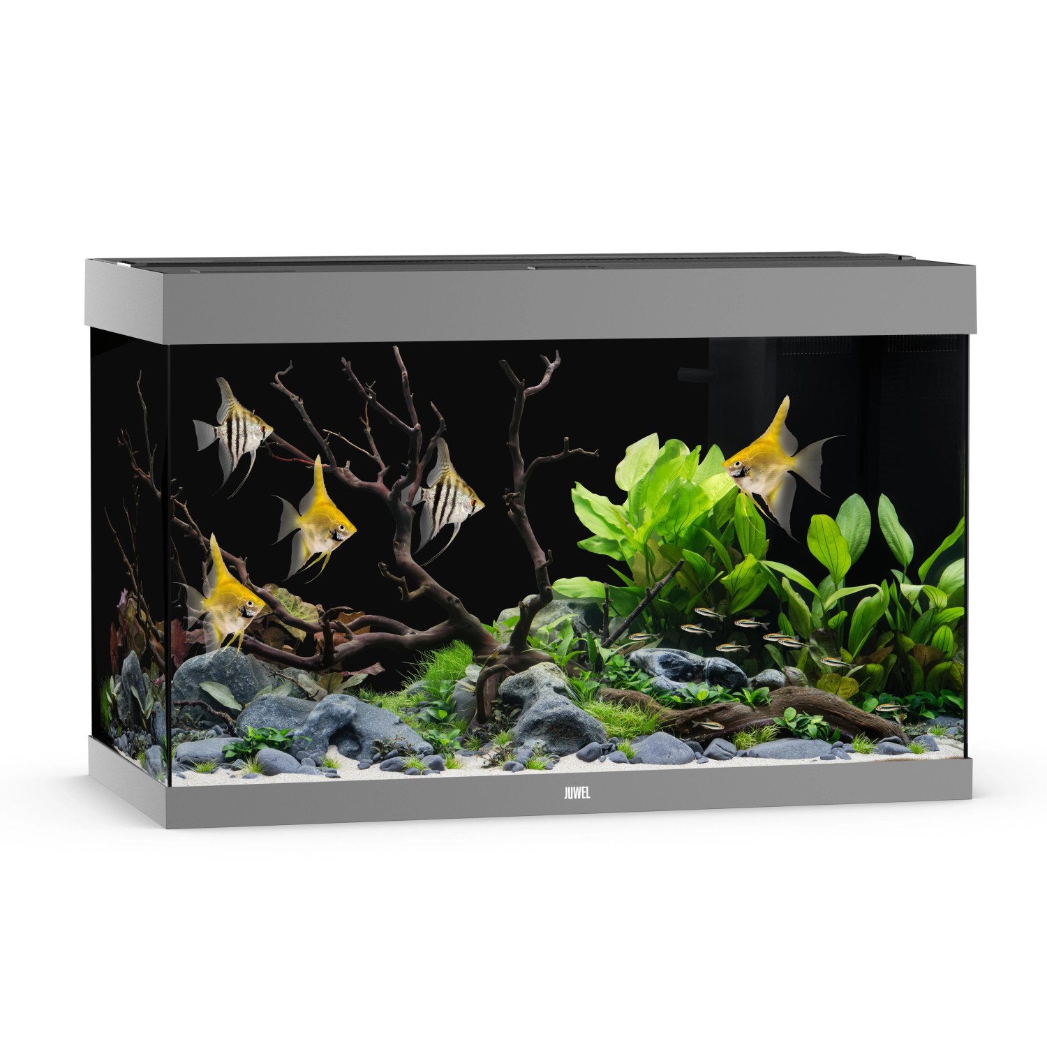 Juwel Aquarium Rio 290 LED Grau