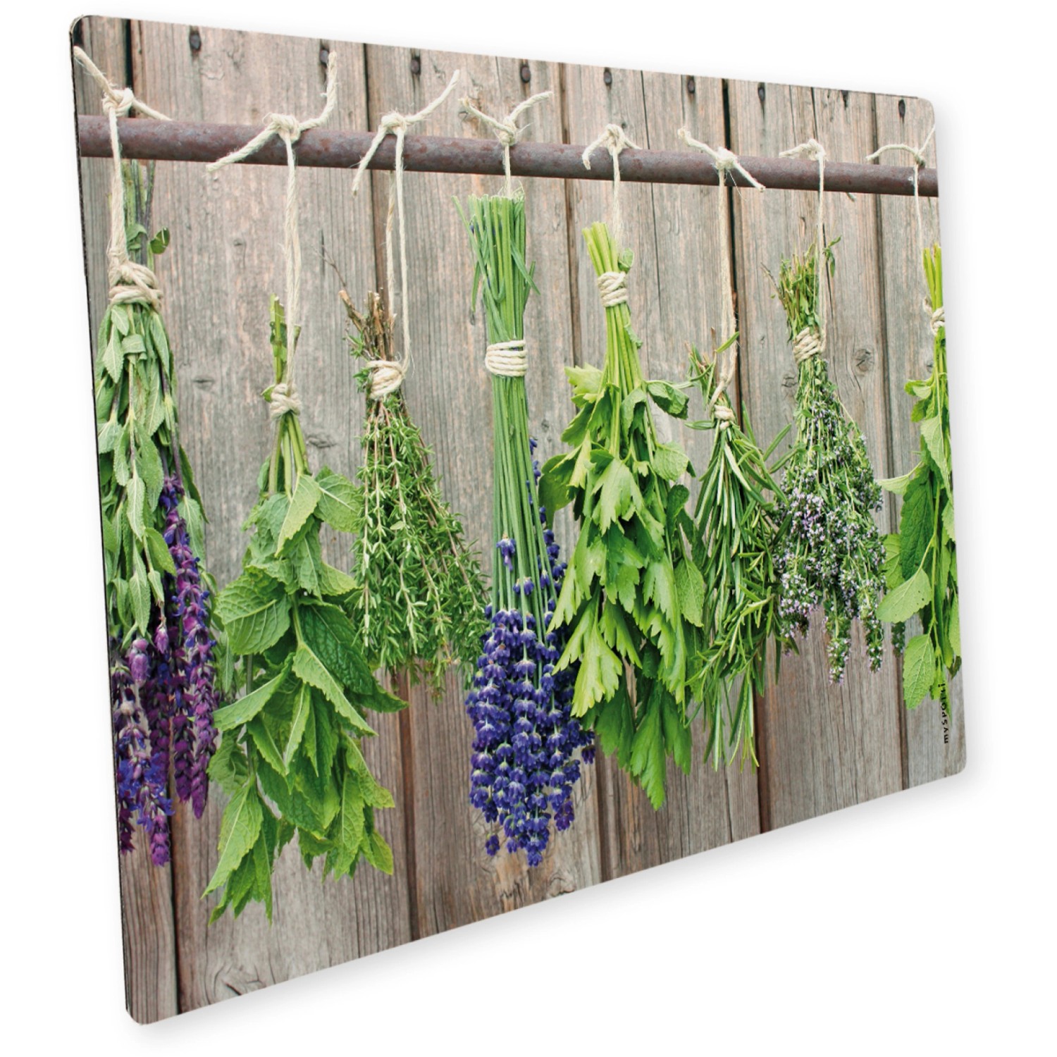 Myspotti Mini-Spritzschutzplatte Herbs 59 cm x 41 cm günstig online kaufen