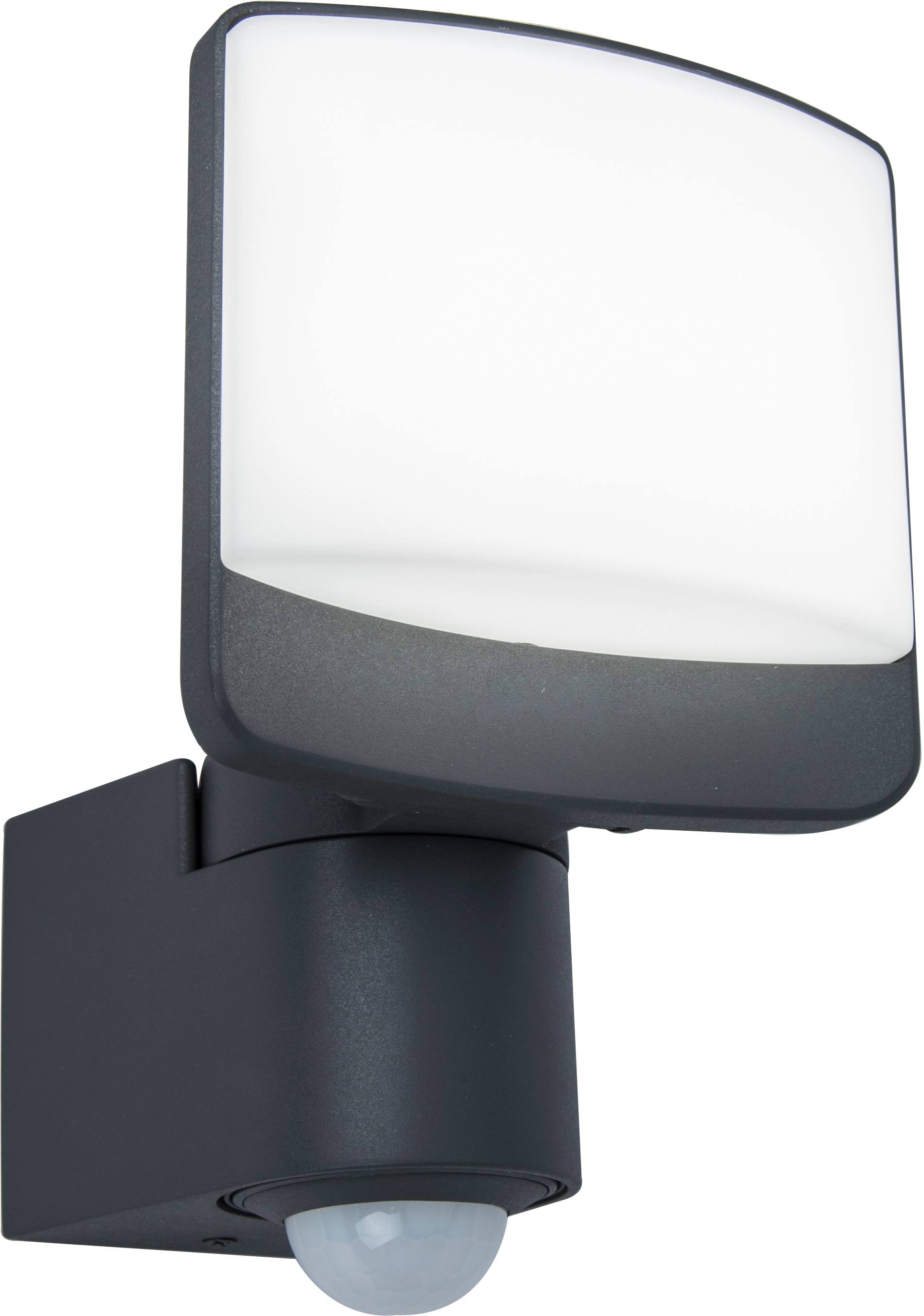 Lutec LED-Strahler Sunshine OBI kaufen Kopf schwenkbarer bei