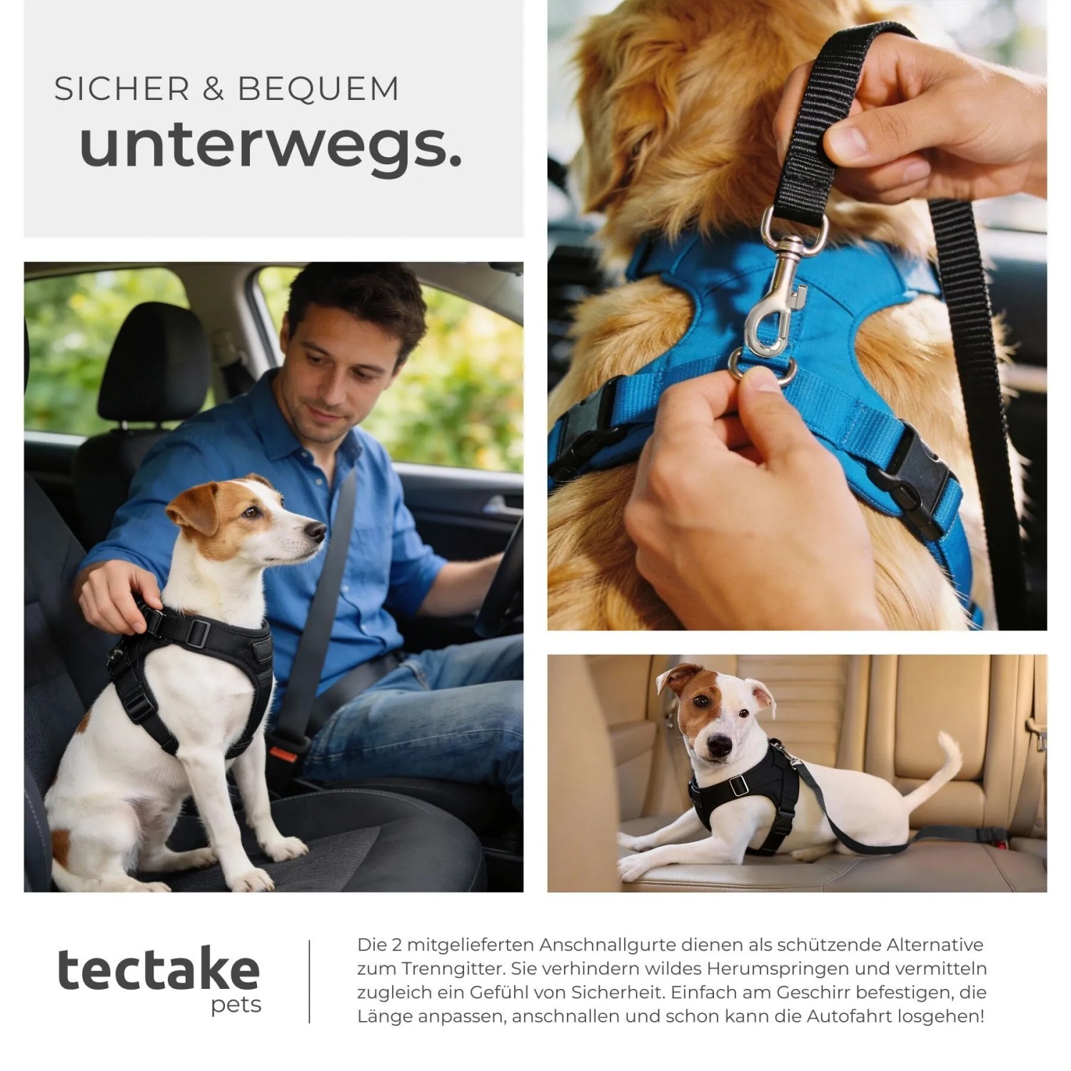 Tectake Hundeschutzgitter Balu mit Hund im Auto und Anschnallgurt, für sicheren Transport.