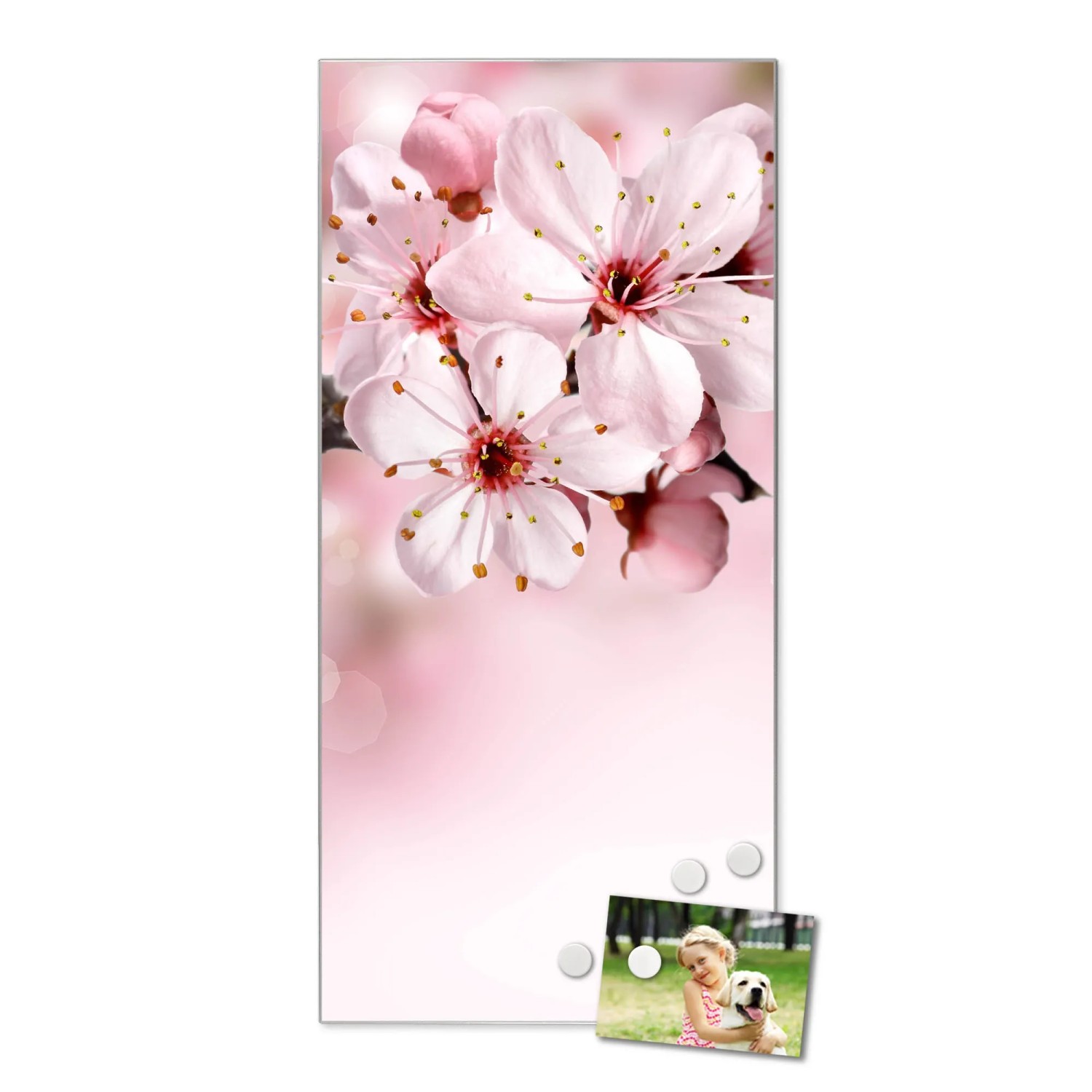 Glas Glasboard Magnettafel Magnetwand Board Memoboard Whiteboard Glas Glasboard Magnettafel Magnetwand Board Memoboard Whiteboard