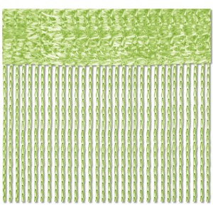 Hellgrüner Fadenvorhang im 2er-Pack (90x240cm) als Fenstergardine oder Raumteiler.