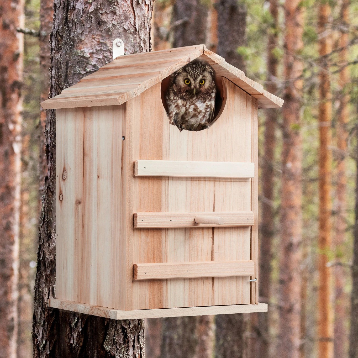 Relaxdays Eulen Nistkasten Tannenholz Natur Wetterbeständig Aufklappbar 38,5 x 25 x 28 cm 1,3 kg_2