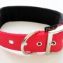 Rotes Heim Hundehalsband (38mm/60cm) mit weichem Neoprenfutter und Metallschnalle.
