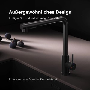 Schwarze AM.PM Küchenarmatur Play Einhebelmischer für Spültisch.