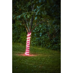 Pinkes Eglo LED-Leuchtband Flatneonled als Deko um einen Baum im Garten gewickelt.