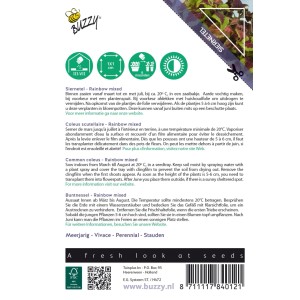 Buntnessel Regenbogen-Mischung Buzzy House Plants Samen Ca. 0,25 g Farbenfrohes Laub