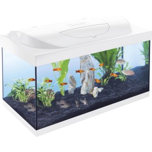 Weißes Tetra Aquarium Kleine Forscher 54 l mit LED, bepflanzt und mit Fischen.