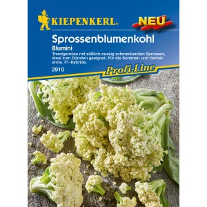 Kiepenkerl Sprossenblumenkohl 'Blumini' Samen, Packung mit Blumenkohl-Sprossen auf Holz.