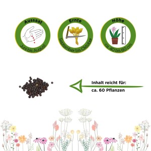 Deine Gartenwelt Pak Choi Samen: Illustration mit Aussaat-, Ernte- und Wachstumshinweisen.