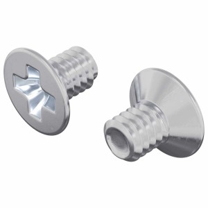 vidaXL Senkkopfschrauben 2 Stk Silber M4 x 6 mm Stahl 864481