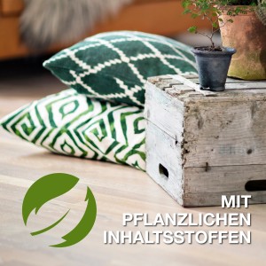 Bona Reiniger für geölte Böden 1 l: Detailaufnahme mit Kissen und Pflanze auf Holzboden.