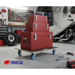 PROREGAL Transportroller Set mit 4 Rollen, 58x58cm, Traglast 300kg, Siebdruckplatte, schwarz