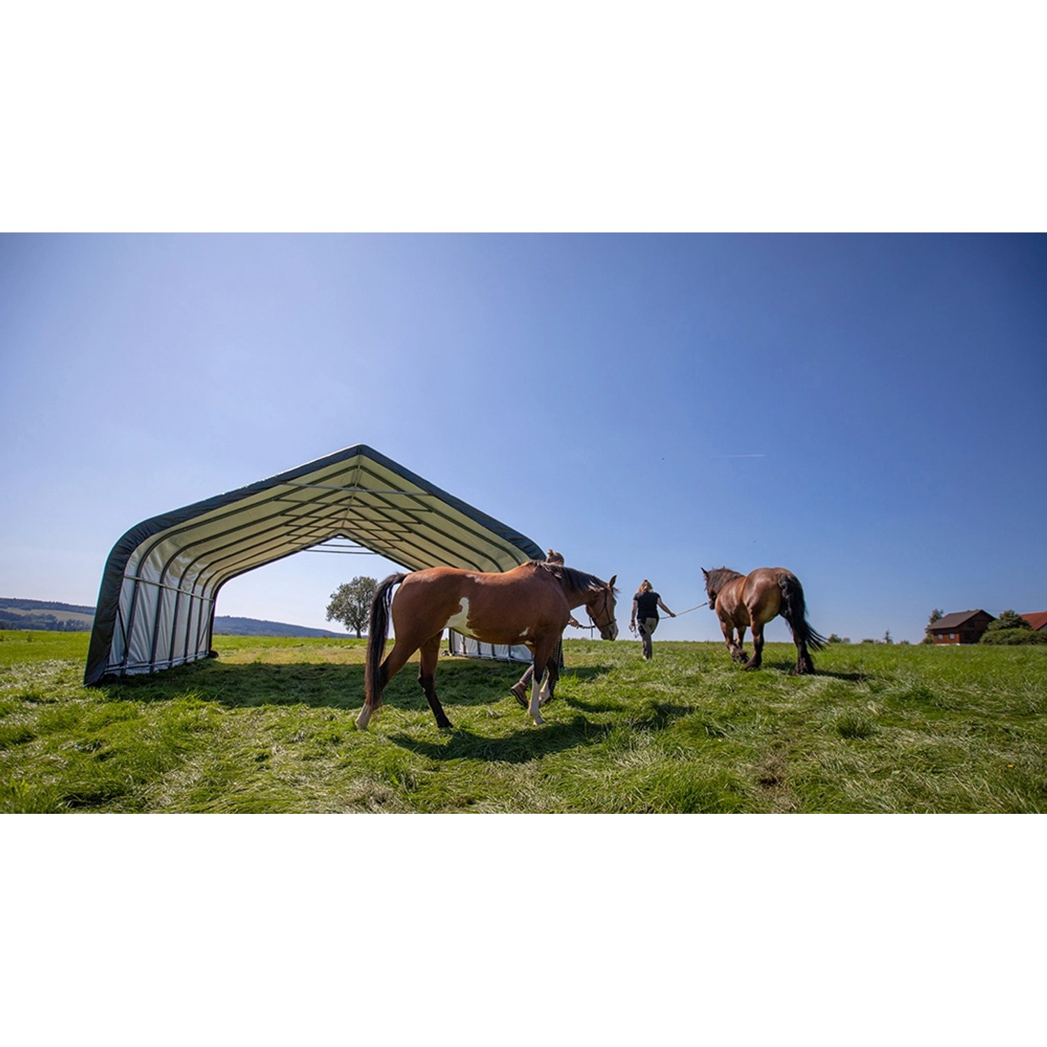 ShelterLogic Weidezelt mit Pferden auf grüner Wiese. Ordnungssystem für Tiere oder Lagerung.