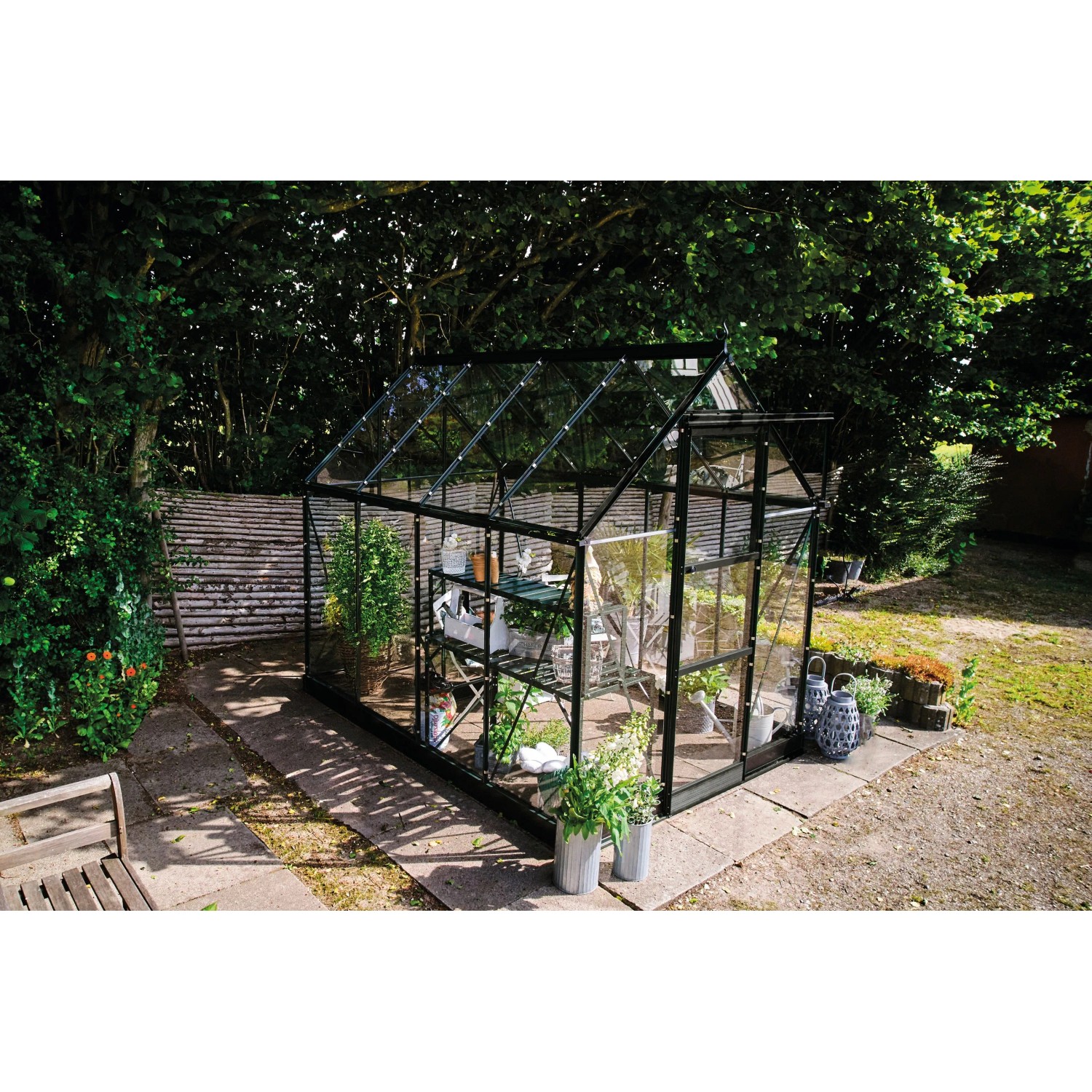 Halls Gewächshaus Icon 6 Schwarz 4,9 m² günstig online kaufen