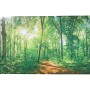 DELUKE Seitenmarkise FABI Motiv Waldlichtung Mehrfarbig Polyester Markise Ausziehbar Sonnenschutz Windschutz Terrasse/Balkon