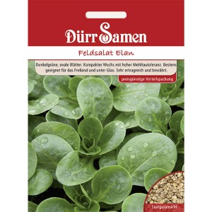 Dürr Samen Feldsalat Elan: Saatgut-Vorteilspack mit dunkelgrünen Blättern für den Garten.