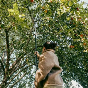 Frau erntet Äpfel mit dem Fiskars Teleskop-Stiel OneClick. Kombisystem für Gartenarbeiten.
