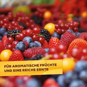 Frische Beerenvielfalt: Erdbeeren, Blaubeeren, Johannisbeeren. Gedüngt mit Solabiol Beeren- & Obstdünger.