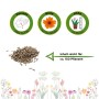 Strohblume Samen: Aussaat, Blütezeit, Höhe und Inhalt für ca. 150 Pflanzen.