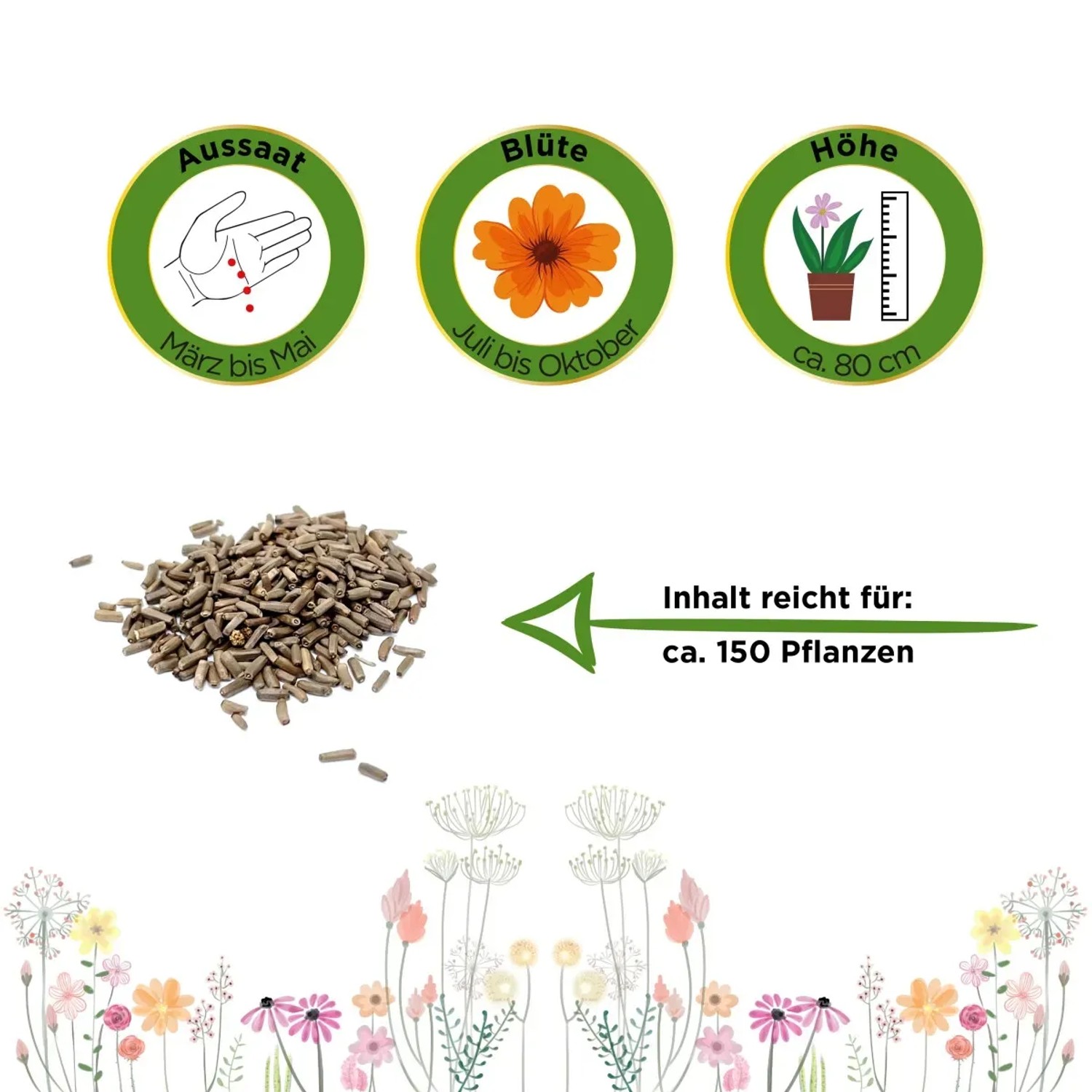 Strohblume Samen: Aussaat, Blütezeit, Höhe und Inhalt für ca. 150 Pflanzen.