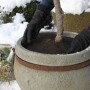Dunkelbraune Videx Garden Kokos-Disc (Ø 37cm) im Einsatz zum Schutz einer Kübelpflanze im Winter.