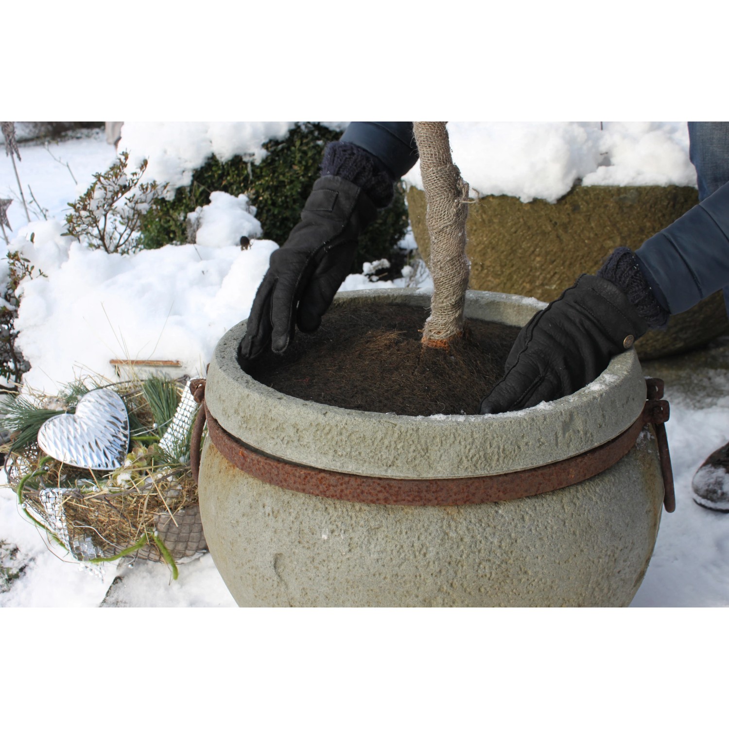 Dunkelbraune Videx Garden Kokos-Disc (Ø 37cm) im Einsatz zum Schutz einer Kübelpflanze im Winter.