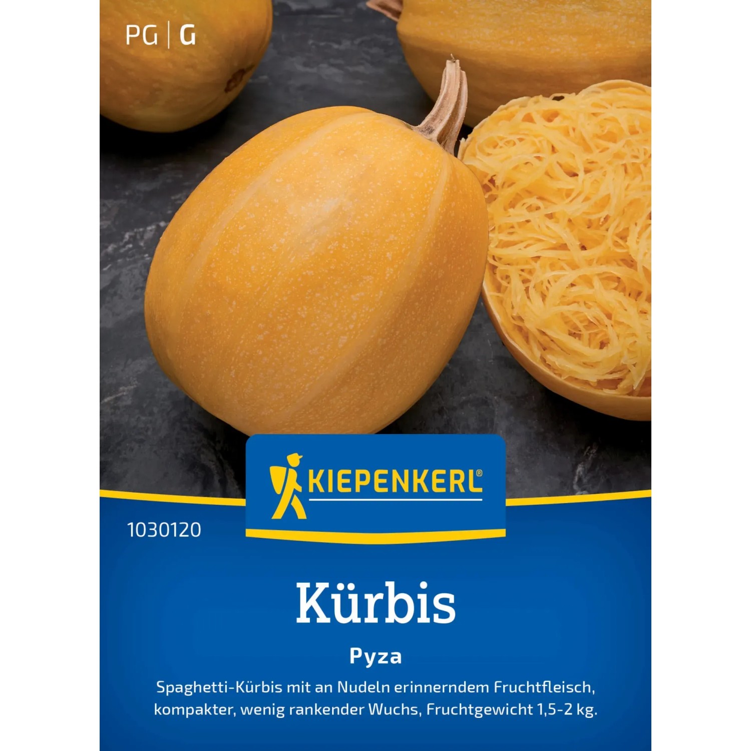 Kiepenkerl Profi-Line Kürbis "Pyza"
