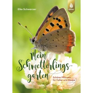 Mein Schmetterlingsgarten