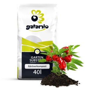 Galamio Gärtnerkompost 40l Sack mit Paprikapflanze in Erde. Hochwertige Blumenerde für gesundes Pflanzenwachstum.