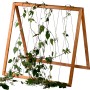 Hellbrauner Dobar Rankhilfenaufsatz Kubus 2.0 aus Holz mit Hanfseilen, bewachsen mit Grünpflanzen.